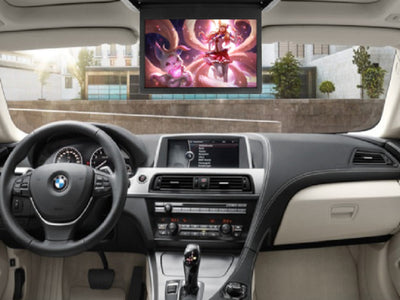 Car Mounted High-definition Ceiling Display